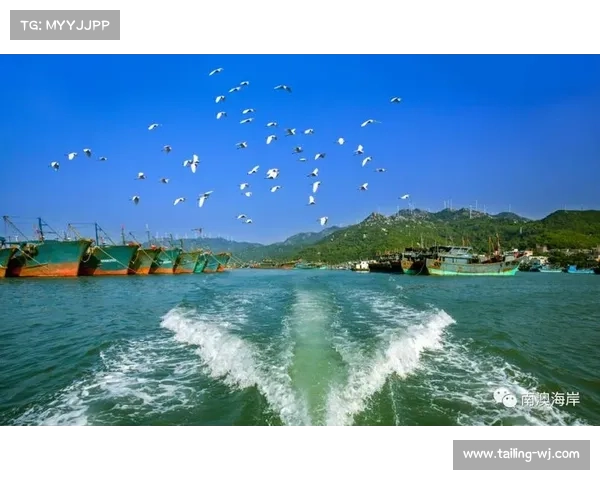 2019全国冲浪冠军赛、2018年全球冲浪赛事巅峰对决精彩浪潮激战